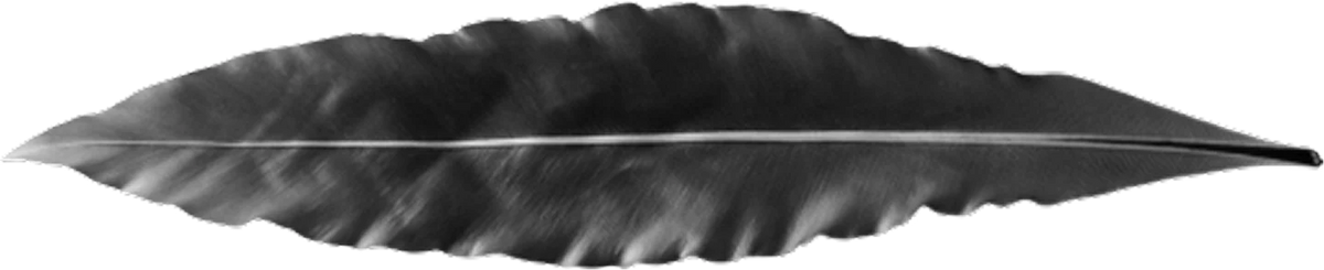 Wing